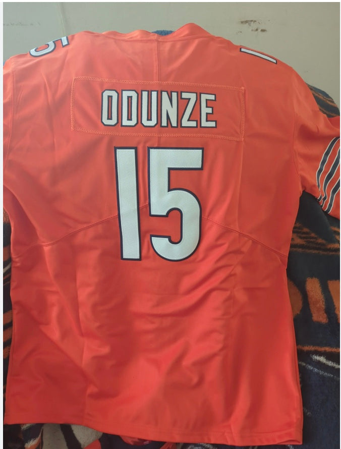 🐻 Chicago Jersey